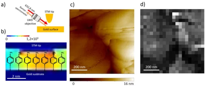 Figure  1:  a)  Experimental setup  configuration  b)  Distribution  of  the  enhanced  electromagnetic  field  between the tip and the gold surface (FDTD calculations) c) STM image of the gold surface (800 x 800  nm 2 ) d) Corresponding TERS mapping of th