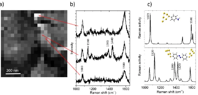 Figure 2: a) TERS mapping b) Raman spectra for different positions of the mapping. c) DFT calculations  of the Raman modes for ATP (above) and DMAB (below)