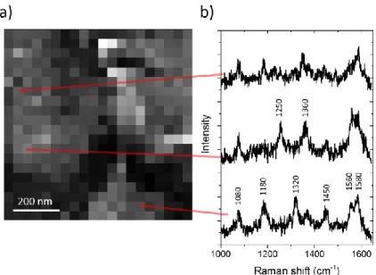 Figure 3: a) TERS mapping b) Others Raman spectra for different positions of the mapping indicated by  the arrows