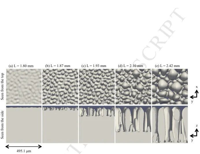 Figure 5: Microstructures at different time steps (left to right) in the TFC simulation at V = 4 µm/s, seen from the top (top row) and from the side (bottom row).