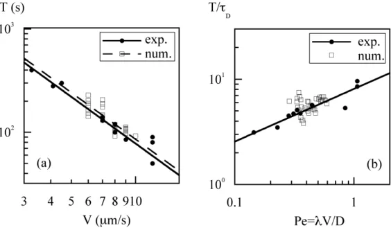FIG. 5: Log-log plot of (a) the oscillation period T vs pushing velocity V and (b) T /τ D vs Pe