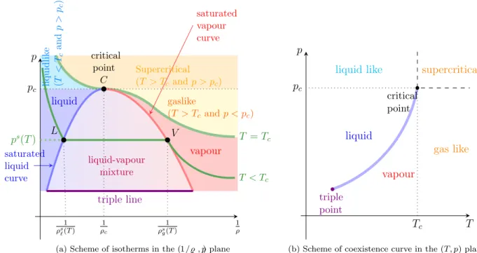 Figure 3: Schematic saturation and coexistence curves.