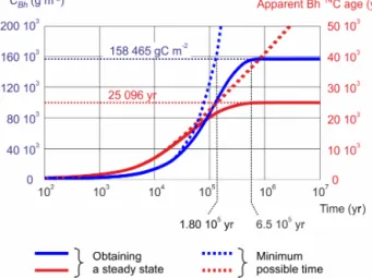 Figure 7. Single-pool modelling of C Bh of the P7C profile; C 0Bh set to 0.