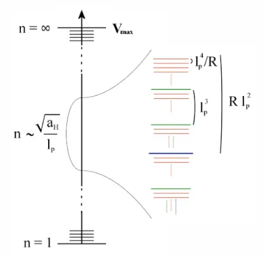 FIG. 2: Representation of the spectrum of volume of a black hole in fluid approximation where n ∼ √ a H /` p 