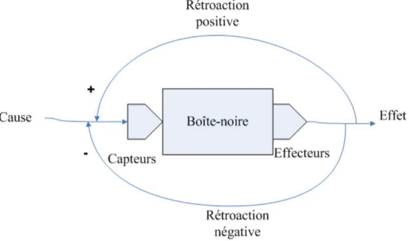 Fig. 2.3  Les boucles de rétroaction positive et négative.