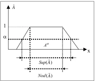 Figure 6  A fuzzy set 