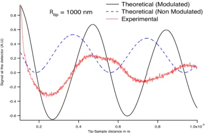 FIG. 6. TRSTM signal (theory and experiment) for a gold sample with a surface plasmon mode excited at λ = 7.5 µm