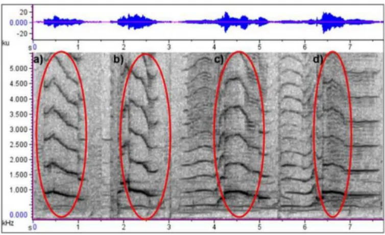 Fig. 1. Spectrogram of Madagascar song segments (from [24]).