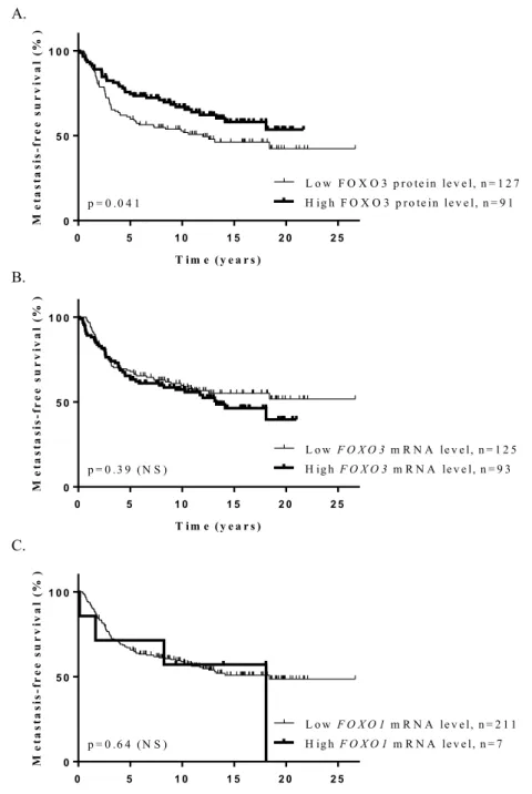 Figure 2.  Kaplan-Meier metastasis-free survival curves for FOXO3 and FOXO1 genes, according to protein  levels (A) for FOXO3 and mRNA levels (B,C) for FOXO1 and FOXO3 in a series of 218 breast tumors