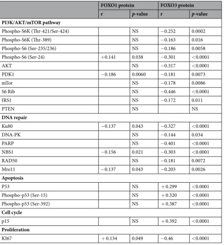 Table 4.  Spearman rank correlation coefficients (r) and p-values between FOXO1 and FOXO3 protein levels  and other proteins of different pathways in the series of 218 breast tumours.