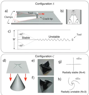 FIG. 1. (a-c) Configuration S and oscillatory crack insta- insta-bility: a) Setup: a rigid tool of width w with rectangular section is driven along a clamped sheet (width W  w); b) upper view: the white region is the convex hull H of the cut and the lower 
