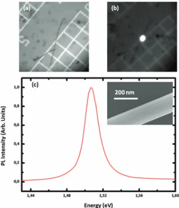 FIG. 2. (a) Optical microscope image, under white light excitation, showing two GaAs NWs deposited on a silicon substrate with a square grid of 15 μm.