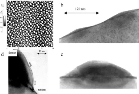 Figure 15. (a) An AFM image of the bimodal size distribution of islands due to the coexistence of square-based ‘hut’ and round-shaped ‘dome’ islands for Si 0 