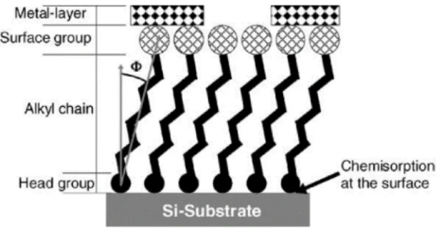 Figure 6. Schematic diagram showing the different surfactant molecules linking to the Si-substrate.