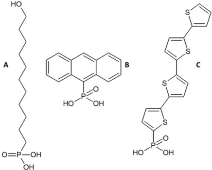 Figure 2. (A) 11-hydroxyundecylphosphonic acid; (B) (9-phosphono) anthracene; (C) α-quarter- α-quarter-thiophene-2-phosphonates.
