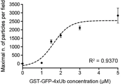 Figure 6: Number of aggregates in terms of [U bi] (or more precisely (4 × U bi − GST − GF P ) 2 ) at fixed [p62]= 2µM [15]