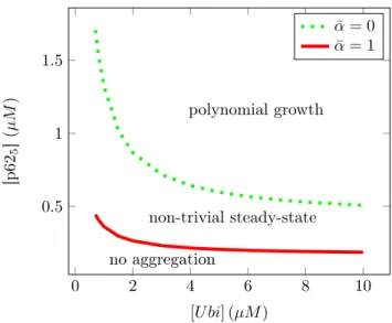 Figure 7: Bifurcation diagram corresponding to Conjecture 1 for n = 5, K d = 0.5µM.