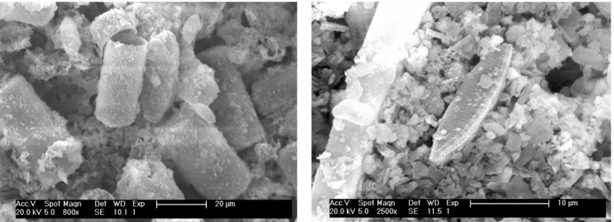 Figure 7 : Photo MEB des résidus de digestion micro-onde des filtres obtenus sur 2 échantillons de la pluie 4