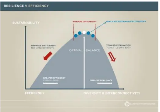 Figure 9. The window of viability in the Industrial Symbiosis -Resilience Vs Efficiency 