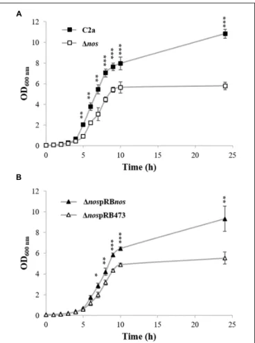 FIGURE 1 | Growth of Staphylococcus xylosus strains in TSB under aerobic conditions. (A) S