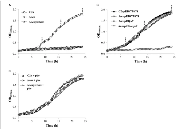 FIGURE 2 | Growth of S. xylosus strains in chemically defined minimal medium in the Bioscreen Assay