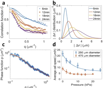 Fig. 4. (a) Autocorrelation functions C(q , τ ) measured for a L = 413 µ m spheroid, with a delay going from 6 to 24 min (markers)