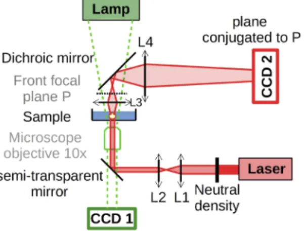 Fig. 1. Schematic view of the experimental setup. Light scattering dectection was added to a commercial microscope