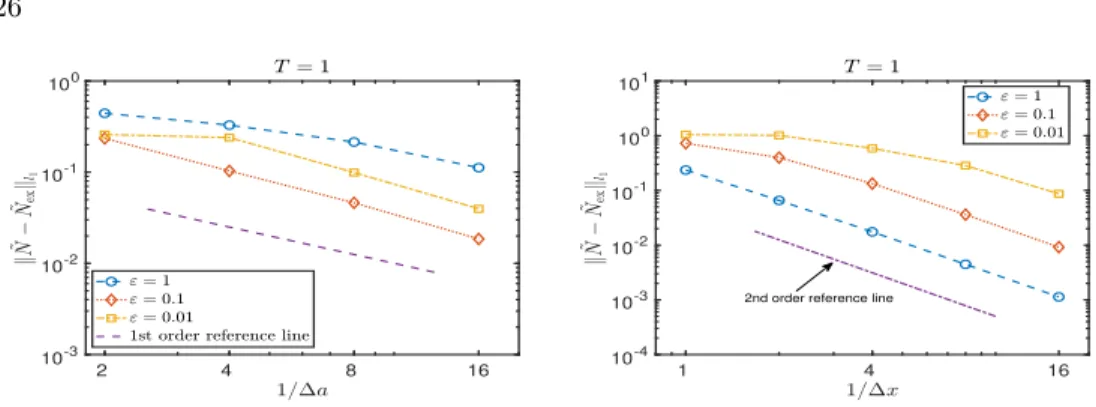 Fig. 5.8 . Accuracy of N ˜ at time T = 1 with fixed ∆t = 0.02 and m = 0.5. The figure on the left shows the accuracy in a-direction, where we fix ∆x = 0.02 and compute the ‘exact’ one with