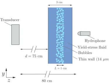 Figure 2: Experimental setup immersed in water. The trans- trans-ducer emits a Gaussian pulse containing 5 periods of a  sinu-soidal signal at a frequency ν 1 = 2 MHz or ν 2 = 3.5 MHz