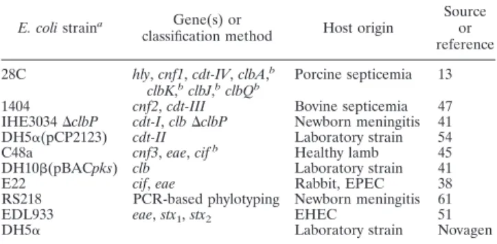 TABLE 2. Primers used in this study