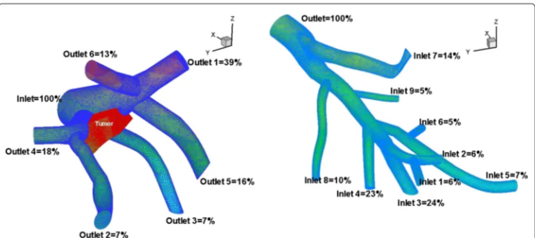 Figure 4 Flow distribution. 3D reconstruction of portal (left) and hepatic (right) venous networks and flow distribution at inlets and outlets.