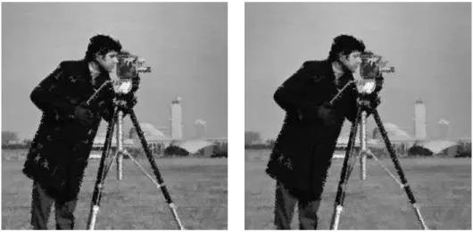 Figure 6: Result of the filtering of the noisy image v with the usual grain filter G t with area threshold t = 10 on the left and t = 20 on the right.