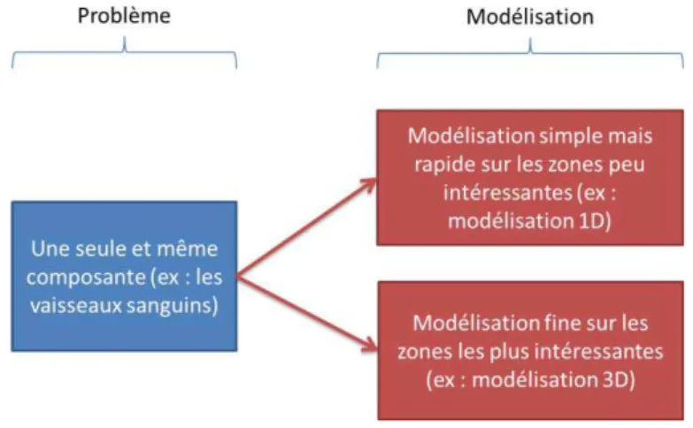 Figure 1-3 : Représentation de la modélisation multi-échelle liée à la finesse recherchée  Dans le même esprit, de façon à pouvoir dériver des lois de la physique moléculaire les  principes de la microbiologie, (Ortoleva, et al