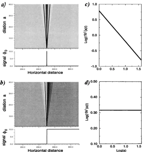 Figure  2.  Wavelet transforms  of a (a) Dirac distribution  with regularity  c• --  -1  and a (b)  Heaviside distribution with c• =  0