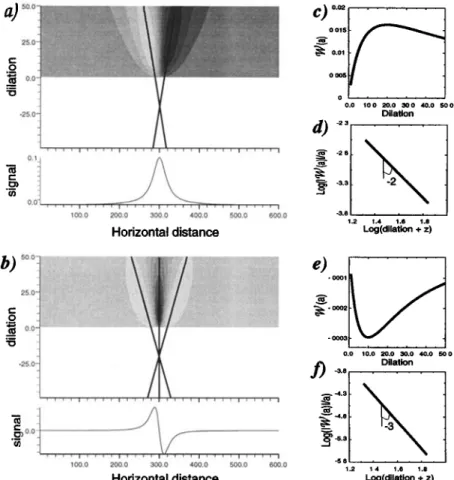 Figure  3.  Wavelet transforms  of potential fields caused  by a (a) vertical dipole and by a (b)  quadrupole