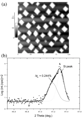Fig. 7. AFM image of the coexistence of ‘huts’ and ‘domes’ obtained