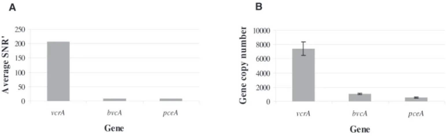 Fig. 2. Gene expression profile identified in a contaminated groundwater obtained with (A) microarray analysis and (B) qRT-PCR assays