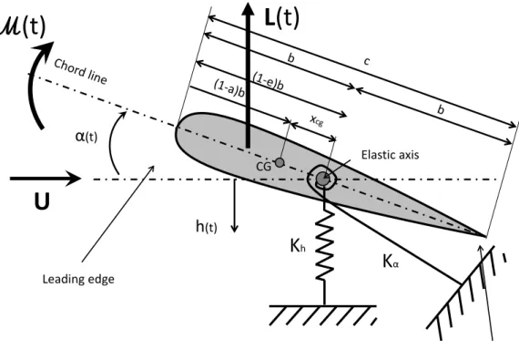Figure 1.1: Model of the pitching and plunging airfoil