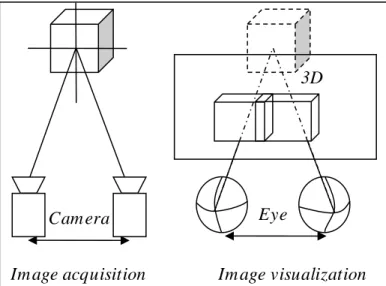 Figure  1-6  depicts  the  principle  of  such  simplest  stereoscopic  imaging  system