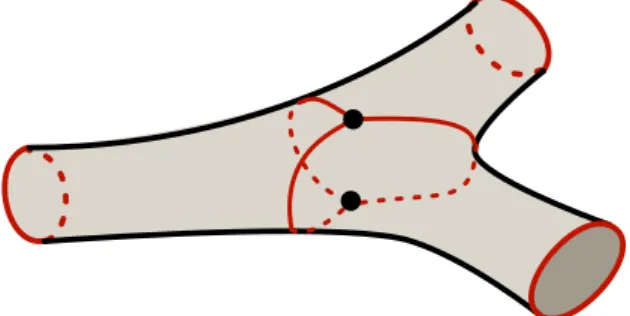 Fig. 1.8 – Tricet valide sur une surface de genre zéro à trois bords.