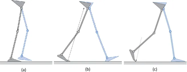 Figure 22: Right leg (in gray) at [20]: (a) Heel rise, (b) Opposite initial contact, and (c) Toe off