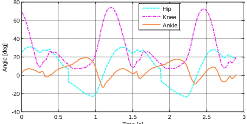 Figure 31: Angular trajectories of the lower limb in function of time. 