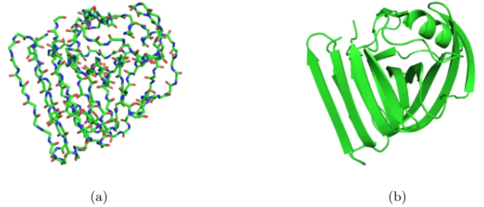 Figure 1.4: Representation of a conformation of a protein (xylanase) using (a) stick representation (b) cartoon representation