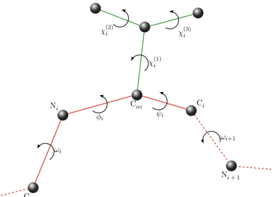 Figure 2.1: Illustration of the dihedral angles of residue i in a peptide. The backbone is represented in red and the side-chain in green