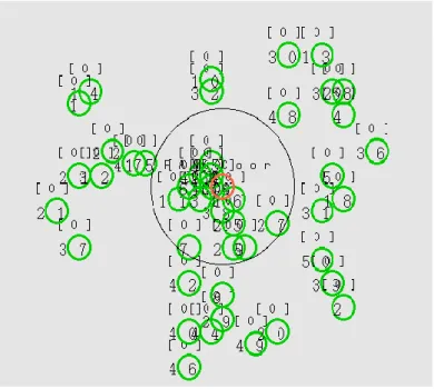 Figure 18 : Exemple d’un réseau de 51 nœuds visualisé à l’aide de NAM [111] 