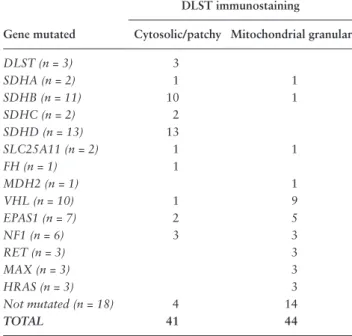 Figure 4.  Analysis of DLST immunostaining in PPGL tumors. Immunohistochemical analysis shows positive labeling of cytoplasmic aggregates in  DLST-mutated tumors from patient #1 and #2 and in an SDHD-mutated PGL, compared with a VHL and a RET-mutated tumor