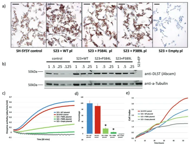 Figure 6.  Crispr-Cas9-mediated knockout of DLST variants results in loss of enzyme activity and reduce proliferation