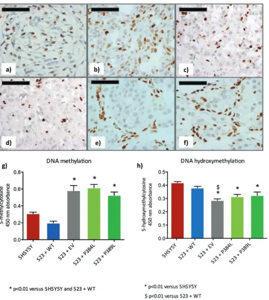 Figure 7. DLST variants result in epigenetic changes in FFPE patient samples and cell clones