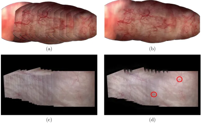 Figure 1.14: Two composited maps before and after blending. a, c) Without blending, b, d) with Laplacian-Gaussian blending technique described in [Burt and Adelson, 1983, Szeliski, 2006].