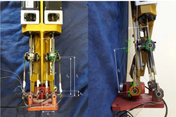 Figure 10: Transmission de la cheville 